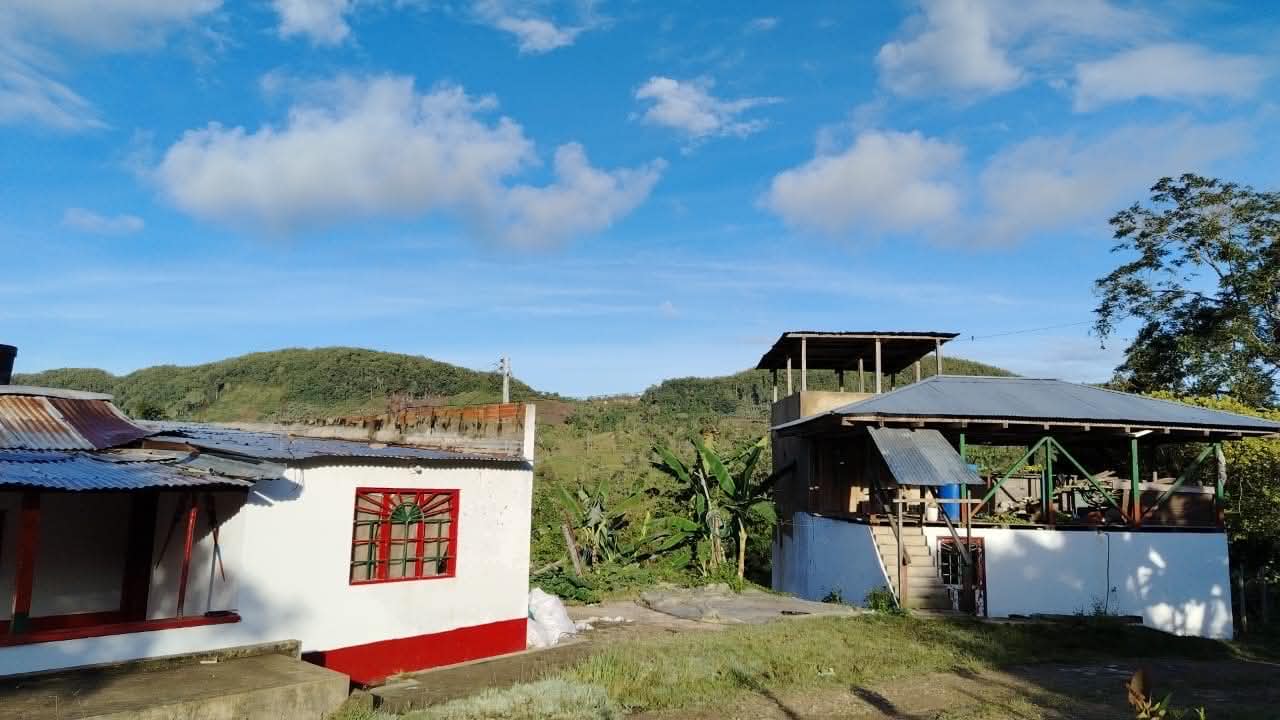 Finca cafetera de la familia ROYLA